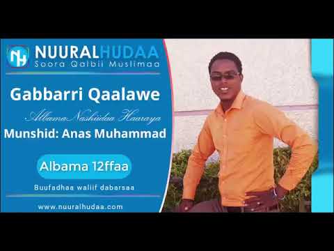 Gabbarri Qaalaawe, Ustaaz Anas Muhammad Albama 12ffaa