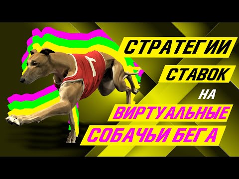 Virtual Dog Racing Betting Guide — Step-by-Step Guide & Transcript