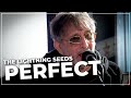 The Lightning Seeds - Perfect (Live on the Chris Evans Breakfast Show)