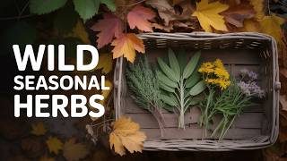 These 5 Herbs Are Why Fall Is Peak Foraging Season (Spiritual Breakthrough)