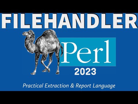 Perl Programming - Files 2023