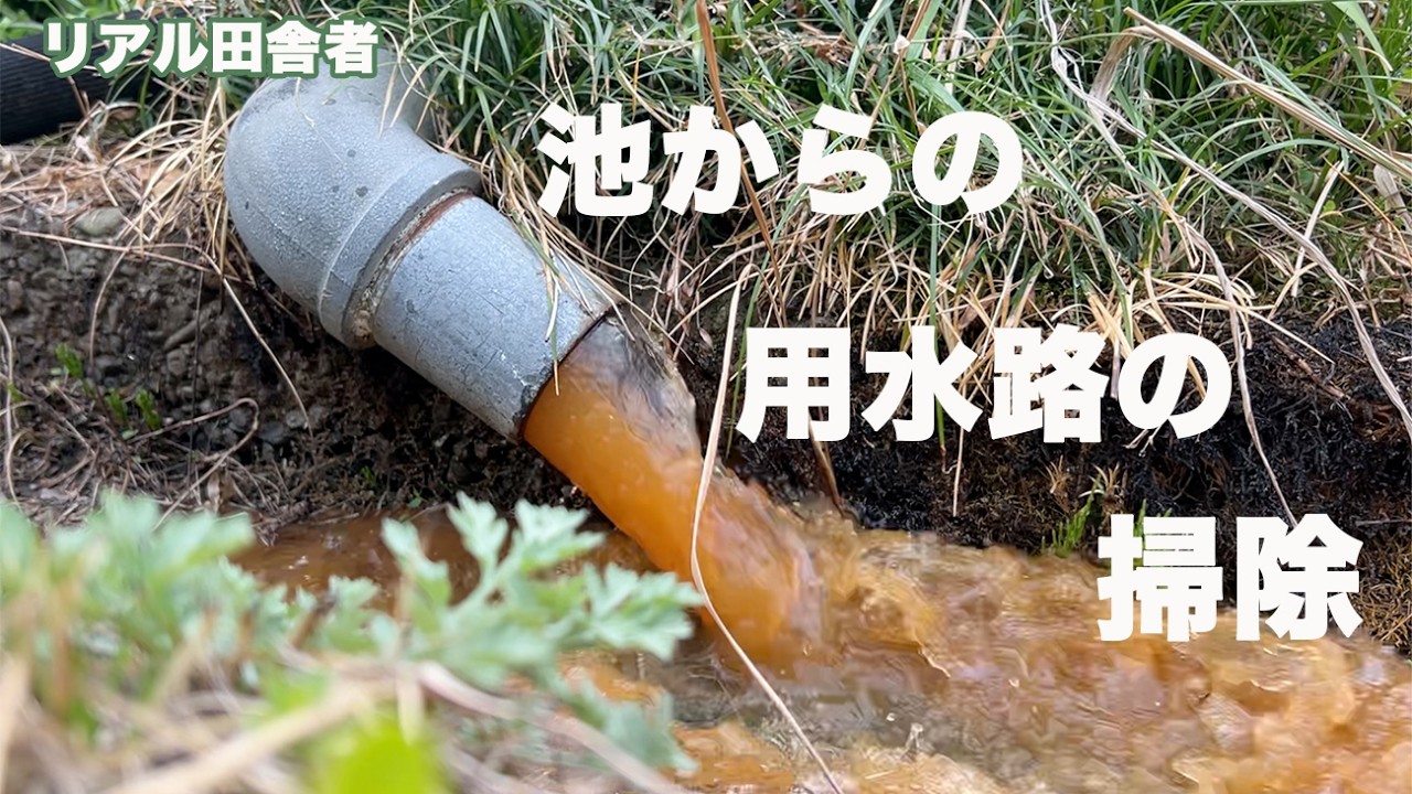 溜池からの用水路掃除〜地域のお仕事シリーズ