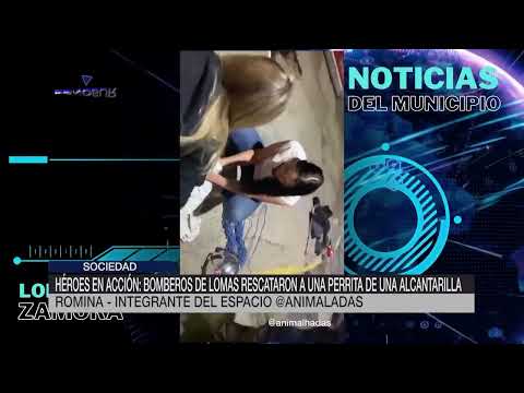 BOMBEROS DE LOMAS DE ZAMORA RESCATARON UNA PERRA DE UNA ACANTARILLA