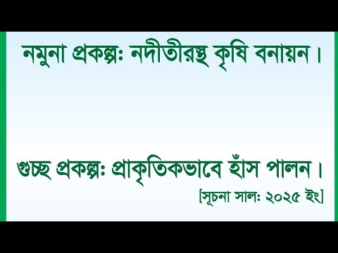 Ducks quacking, eating and splashing on the river.