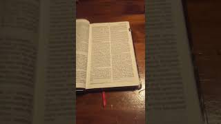 MEV Personal size large print Indexed Cherry Brown