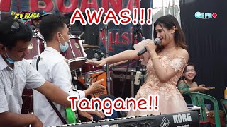 Download lagu Lagu Andalan Shepin Misa || Mas Gun Sampek Trenyuh... mp3 Download lagu Lagu Andalan Shepin Misa || Mas Gun Sampek Trenyuh... mp3