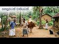 Pahasuwatath Wasiyatath පහසුවටත් වාසියටත් Sinhala Song DHANA STUDIO