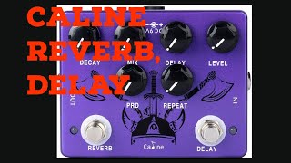 Video thumbnail for Caline CP80 Ragnarok Reverb Delay pedal demo and review by Guitar Safari