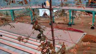 Download lagu NOAH Kala Cinta Menggoda mp3