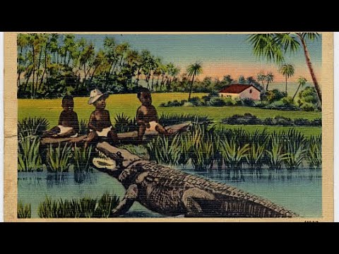 Black children as Alligator Bait: A Forgotten Chapter of American Racism