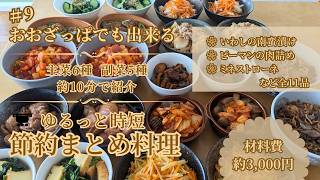 #9【3,000円・11品】簡単調味料で仕上げる！たっぷり作り置き