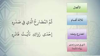 صورة شرح نظم الآجرومية مع التشجير //40//الشيخ محمد محمود الشنقيطي