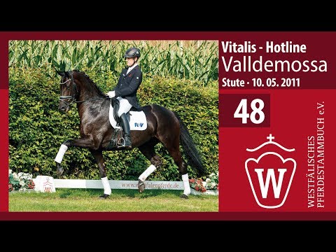 48 Valdemossa Stute v. Vitalis - Hotline