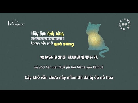[Vietsub] Hãy làm ánh sáng của chính mình, không cần phải quá sáng (做自己的光，不需要太亮) - Thiện Vũ (善宇)