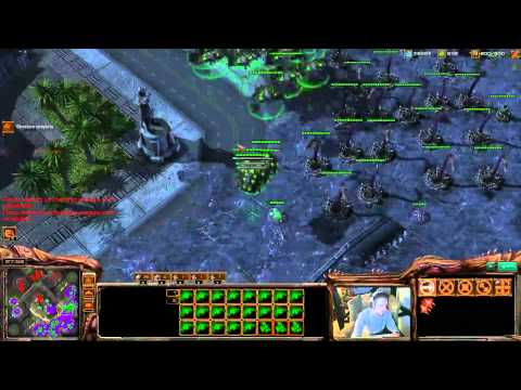 CatZ pronounces "broodlords"