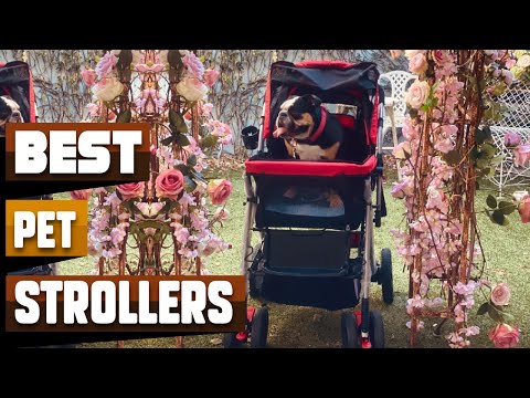 Best Pet Stroller In 2022 - Top 10 Pet Strollers Review