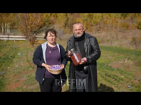 37 mijë euro - 1 kg shafran, bima më e shtrenjtë në botë që kultivohet nga familja në Pogradec 
