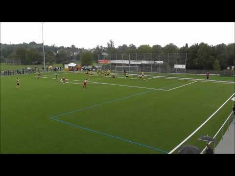 9. SPIELTAG LANDESLIGA /// 1.FC HEININGEN - SV VAIHINGEN 4:1(1:1)