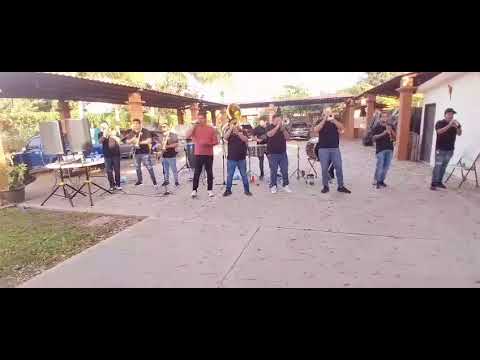 Popurrí mi gusto es, el sauce y la palma y el sinaloense-banda los nios