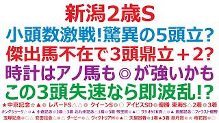 【新潟2歳ステークス2026】予想　小頭数も激戦！胸囲の頭立て？傑出馬不在で3頭鼎立＋2頭？時計はアノ馬ですが、◎こちらの方が強い？◎○▲　この3頭失速なら即波乱！？