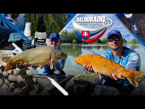 Haldorado Method Feeder Team SK - Top Method Feeder újdonságok 2024