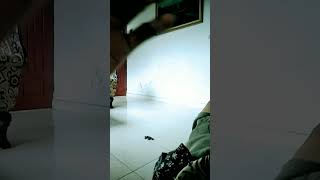 Download lagu spacetoon Indonesia mp3 Download lagu spacetoon Indonesia mp3