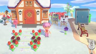 What Do You Get When You Cross A Frog And A Bunny? A Bunny Ribbit !merch !kofi !pronouns