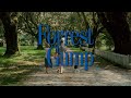 Forrest Gump Forrest Gump Frank Ocean