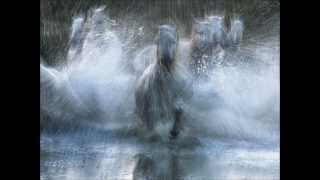 Horses   MARGARET BECKER