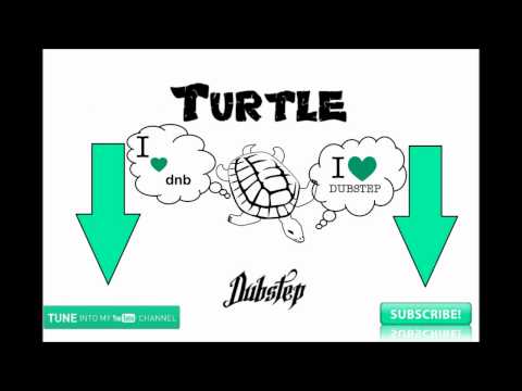 TurtleDubstep present: Stim Axel - Сначала