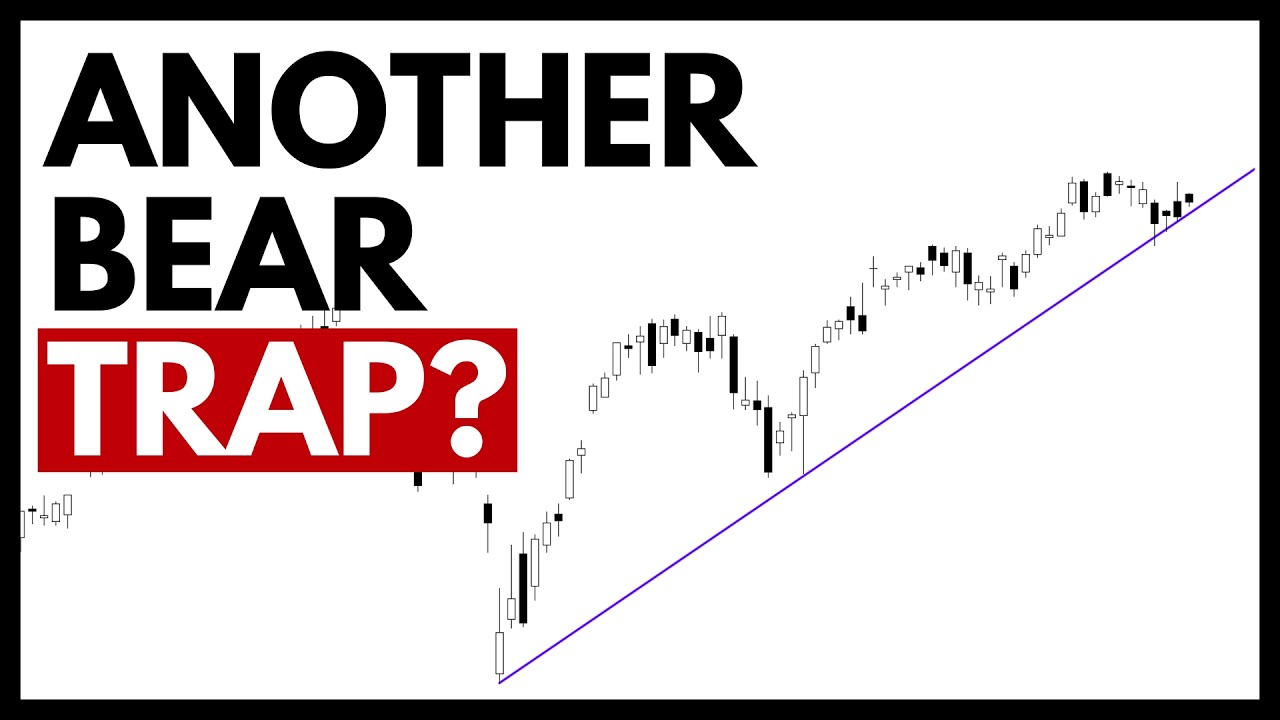 Technical Analysis of Stocks: SPY / QQQ / NVDA / TSLA / AMD / PLTR / AVGO / MU