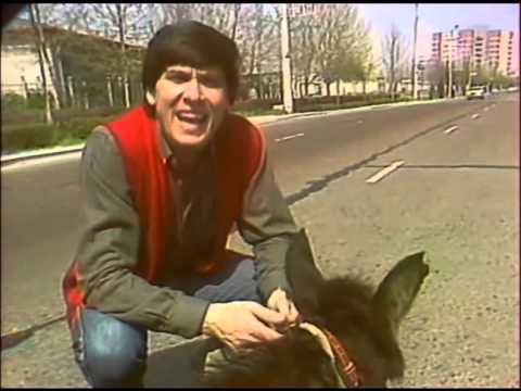 Marinaio - Gianni Morandi (1983)