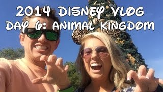 preview picture of video 'Christmas In Disney World 2014 VLOG - Day 6 - Animal Kingdom!'