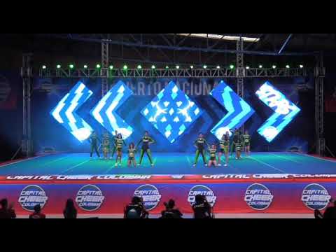 Clovers royal elite N3