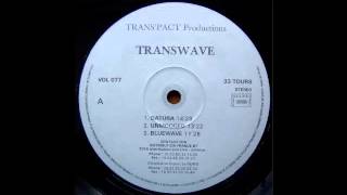 Transwave - Datura