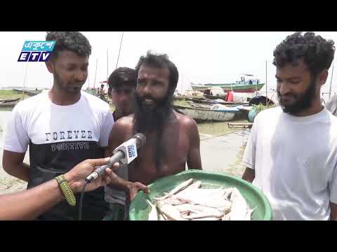 চরের কারণে পদ্মা নদী বাঁচবে কি বাঁচবে না, এমন দুশ্চিন্তার কোন কারণ নেই | ETV News