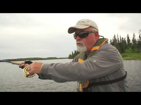 Ontario Moose Hunts with 7 Lakes Wilderness Camps in Canada - YouTube