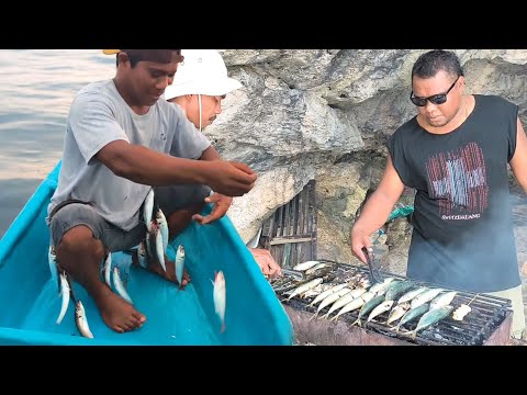 Dozens of mackerel caught in one pull | Fishing & Cooking