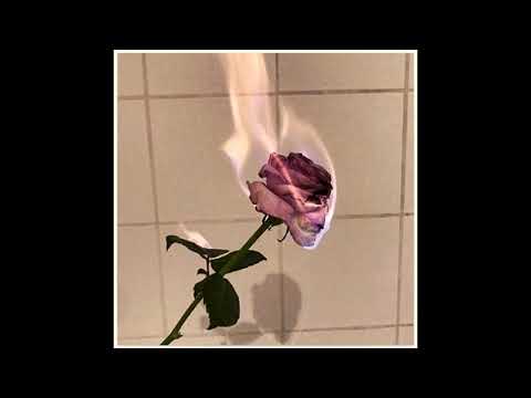 No Se Nada De Vos - Estoico