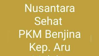 preview picture of video 'Nusantara Sehat Individual 2017 Pengabdian Tanpa Batas PKM Benjina Aru Tengah Kep. Aru Maluku'