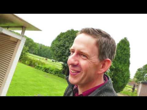 Thijs, laot de mögke danse - Don Kiesjot