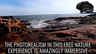 Get Lost In Nature With Luke | HP Reverb G2