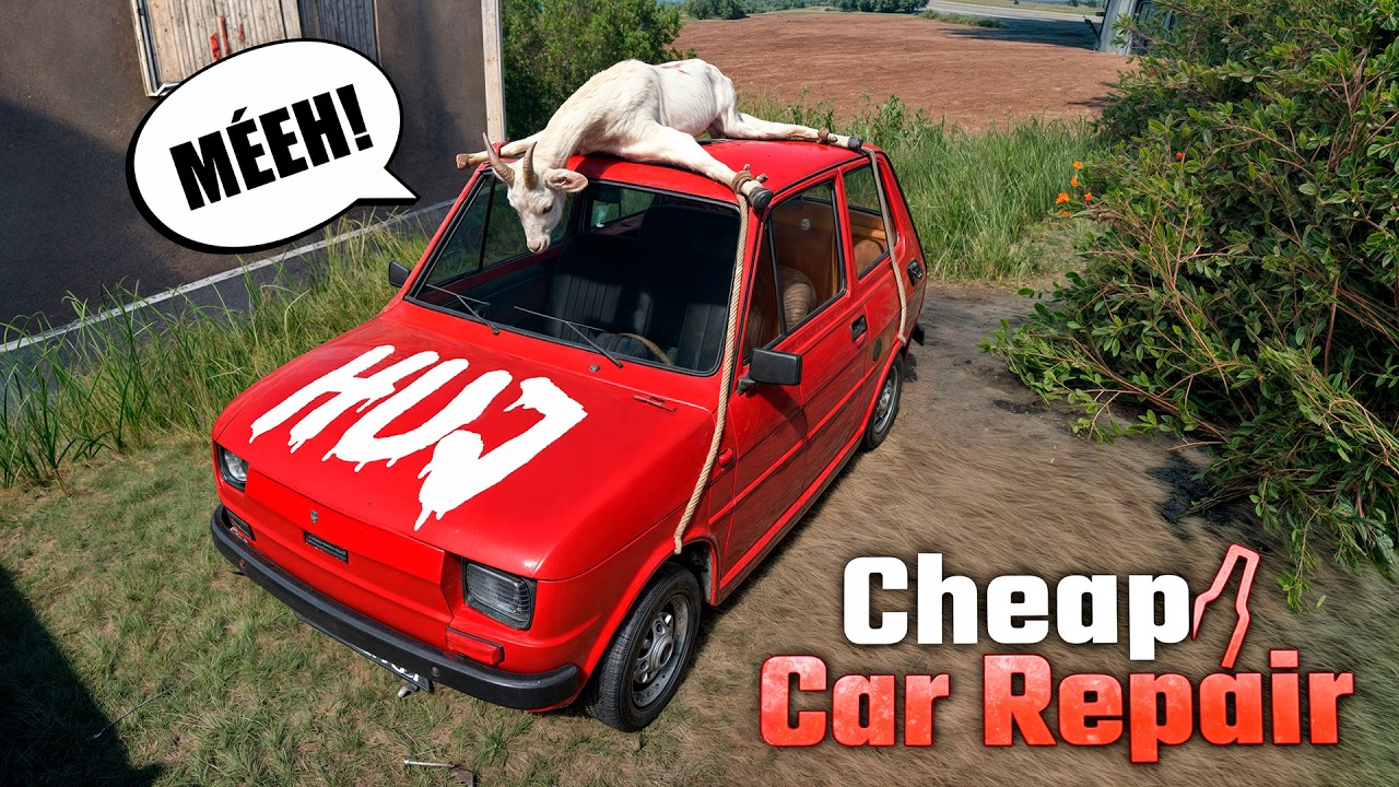 Amarrei uma CABRA no teto! - Cheap Car Repair #10