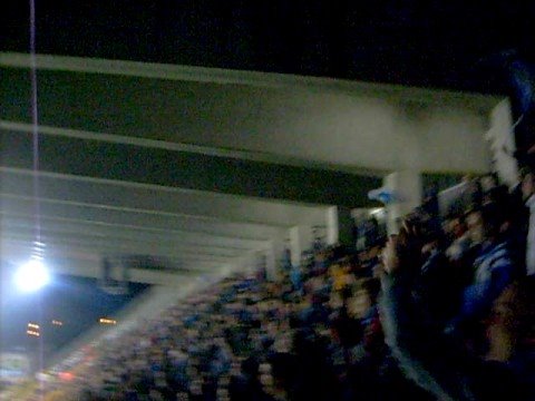 sfeerbeeld tijdens  match club brugge teegn youngboysbern20