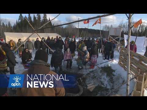 Atikamekw family forced out of maple syrup season by illegal logging | APTN News