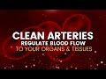 Clean Arteries | Regulate Blood Flow to Your Organs and Tissues | Remove Plaque from Arteries-741Hz
