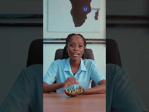 Uchumi360