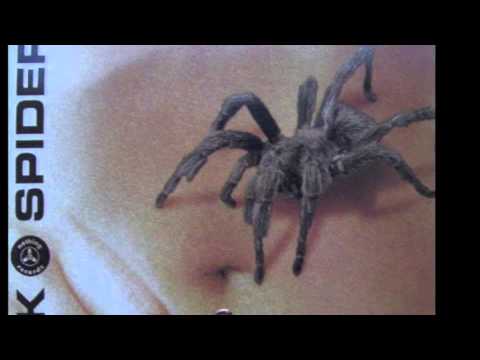 Black Spider - Save Your Life (Warp Brothers Remix Edit)