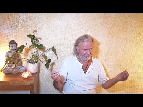 Manik "Meditation ist die Kunst des Nichtstuns"  Satsang-Auszug