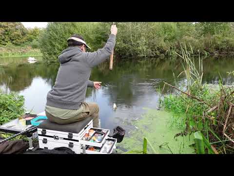 Waggler Fishing for River Roach